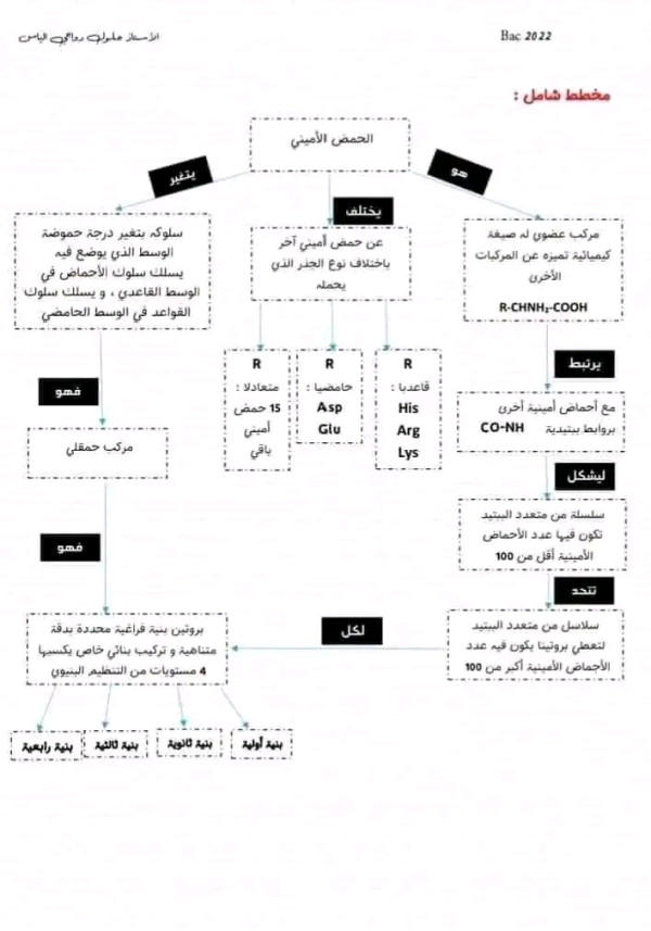 نص علمي ومخطط لوحدة ثانية في مادة علوم طبيعية علاقة بين بنية ووظيفة البروتين ثالثة ثانوي علمي